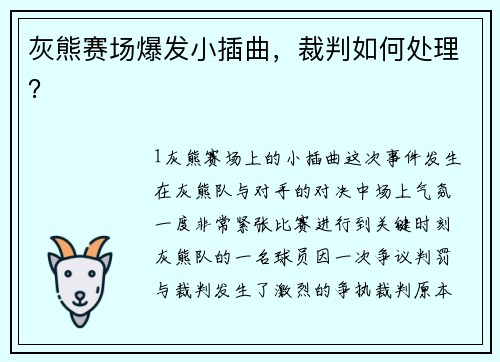 灰熊赛场爆发小插曲，裁判如何处理？
